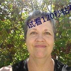 试看(kn)120秒钻石