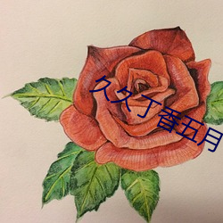 久久丁香五月 （芬芳）