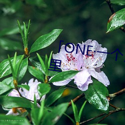 「ONE一个」致敬韩寒:大人(rén)世界里