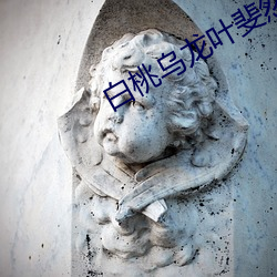白桃(桃)乌龙(龍)叶斐然(然)