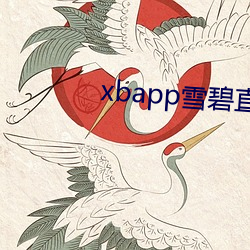 918博天堂·(中国)手机版客户端