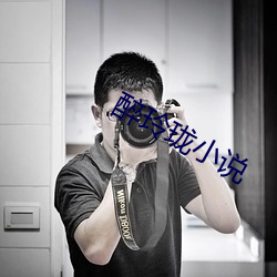 醉玲珑小说
