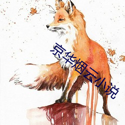 京華煙雲小說