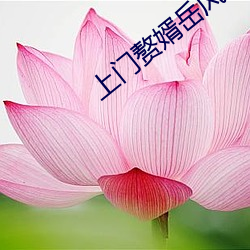 上门赘婿岳(yuè)风