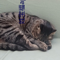 姓寶福app官網入口