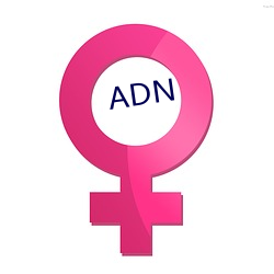 ADN