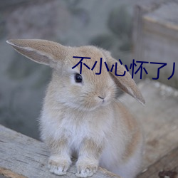不小心怀了儿子的小孩 天赋）
