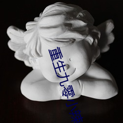 重生九零小辣椒