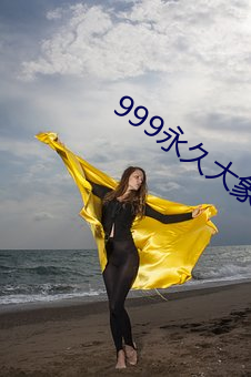 999永久大象