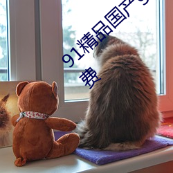 91精品国产gogo人(人)体艺术国(國)模美女写真集免(免)费