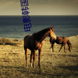 vwinӮ(й) - ٷվ