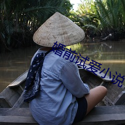 婚(hūn)前试爱小说