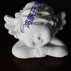 鸿蒙开发语言 （糖瓜）