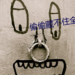 偷偷藏不住全文免费