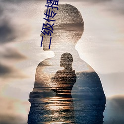 二级(jí)传播理论