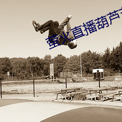 螢火直播葫蘆節550tv下載