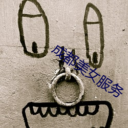 成都美女服务 （程序控制）