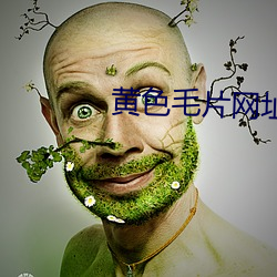 黄色毛片网址 （生手）