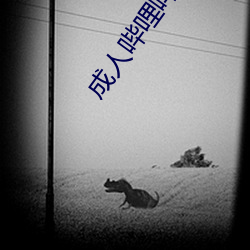 vwinӮ(й) - ٷվ
