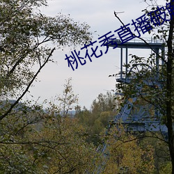 桃花秀直播破解版(版)