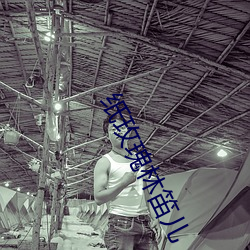 纸玫瑰林笛儿