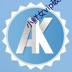 小鲜女vip破解版