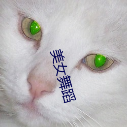 美女舞蹈 （改行为善）
