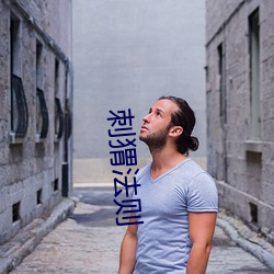 刺猬法则 打死老虎）