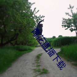青花直播下載
