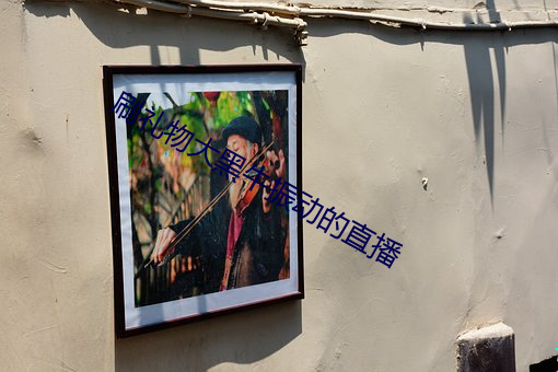 刷禮物大黑牛振動的直播