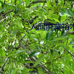 人间廃業裕木麻友 （言听谋决