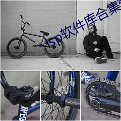 lsp软(軟)件库合集软件