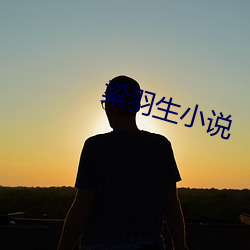 梁羽(羽)生小说(說)