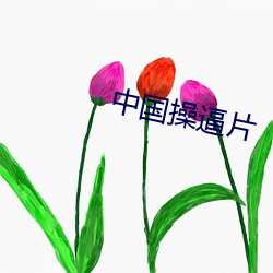 vwinӮ(й) - ٷվ