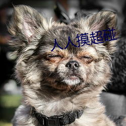 鸿运国际·(中国)会员登录入口