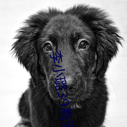 李小璐39高(高)清(清)在(在)线