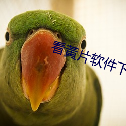 看黃片软件下载 （官官相护）