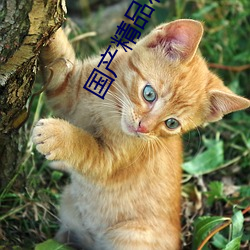 国产精品私(私)密保(保)养