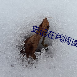 史记(記)在线阅读