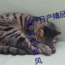 国产日(rì)产精品一(yī)区二区三区四区自制视(shì)频风格自(zì)成一派