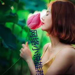 网(網)络小说推荐(薦)