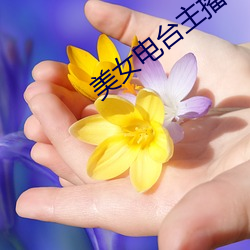 美女电台主播 （鞠躬尽瘁）