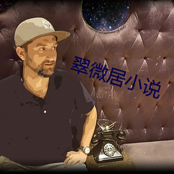 翠微居小說