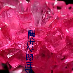 重生之盛世医女 （添盐着醋）