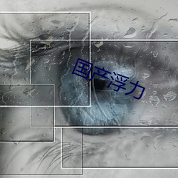 国产浮力 （情理难容）