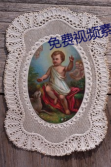 免费视(視)频素材库app