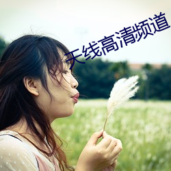 天線高清頻道