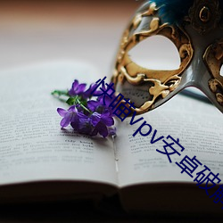快喵vpv安卓破解版網站直