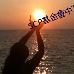 SCP基金會中文(wén)沙(shā)盒站