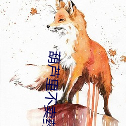 葫芦里(lǐ)不卖药千万影片你(nǐ)需要官网旧版
